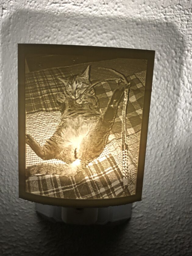 Personalized Lithophane Night Light
